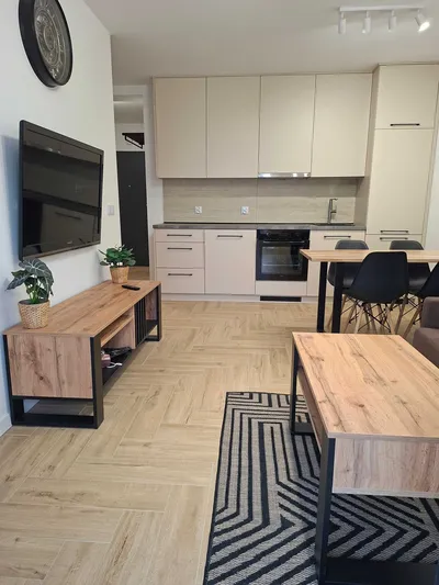 Nowe, eleganckie mieszkanie w nowym budynku – do wynajęcia - miniatura 2