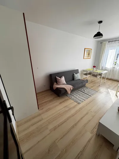 Mieszkanie 2 pokoje, osobna kuchnia, balkon, Malta, Rataje, Chartowo - miniatura 5