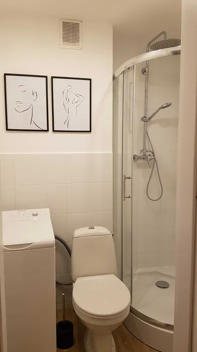 Mieszkanie do wynajęcia, 2 pokoje, centrum - miniatura 5