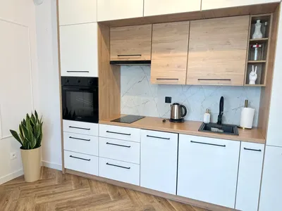 Do wynajęcia apartament z garażem, Kapuściska - miniatura 3