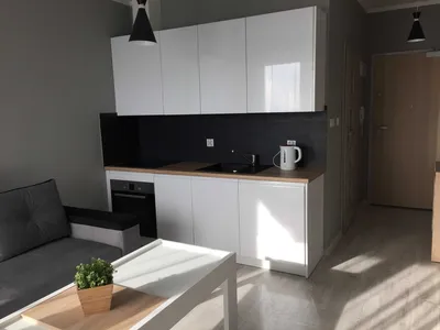 Kawalerka z widokiem na Park Śląski - 4 wieże