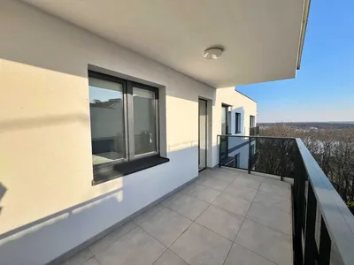 Widok na Wisłę, 3 pokoje, wysoki standard - na wynajem - miniatura 4