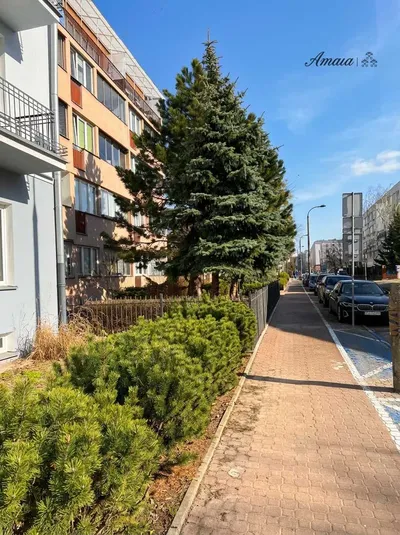 Mieszkanie na wynajem 28m2 ul. Barska , Stara Ochota Warszawa - miniatura 5