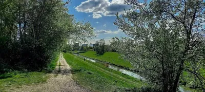pokój dla 1 os KONOPNICKA PARK wysoki standard bez prowizji - miniatura 3