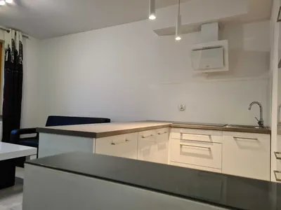 Mieszkanie do Wynajecia 40m2 dwa pokoje ul Pwst Wielkopolskich - POLONIA - miniatura 3