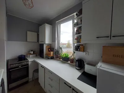 Wszędzie blisko! Słoneczne mieszkanie dla zwierzoluba - miniatura 4