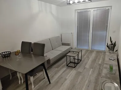 Nowe mieszkanie 2-pokoje ul. Graniczna na wynajem - miniatura 2