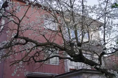 Mieszkanie dla firmy budowlanej - miniatura 2