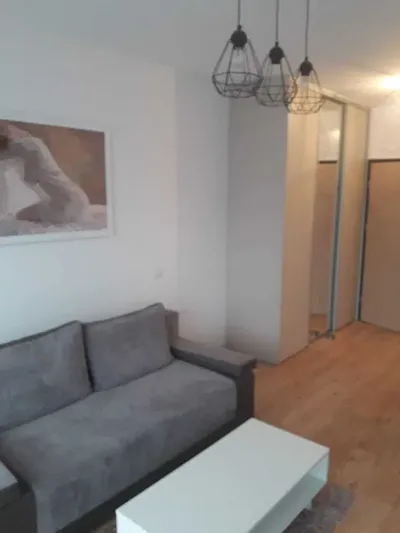Apartamentowiec kawalerka do wynajęcia ul Dembowskiego z parkingiem - miniatura 5