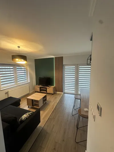 Mieszkanie dzielnica parkowa Paderewskiego 50m2 - miniatura 2