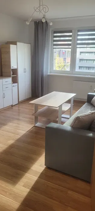 Mieszkanie 2-pokojowe w centrum Szczecina do wynajecia - miniatura 4