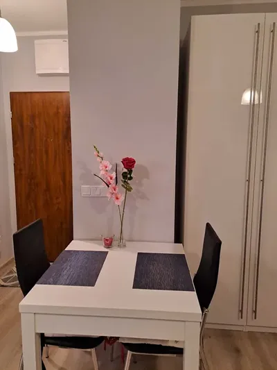 Wynajmę kawalerkę z osobną kuchnią na Węglinku - miniatura 4