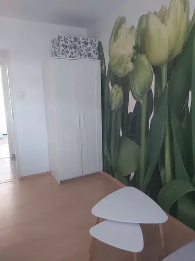 Pokój w 3 pokojowym mieszkaniu na 8 piętrze. Wszystko umeblowane. Kuchnia i łazienka wyposażona. Zielona, spokojna okolica i blisko centrum. - miniatura 3