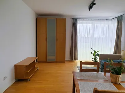 Bezpośrednio mieszkanie Serbska Wilczak z widokiem na Wartę - miniatura 2