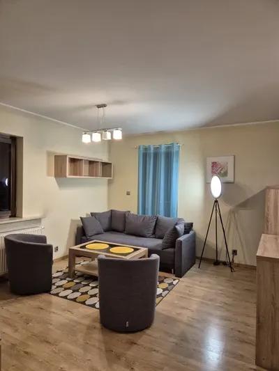 Mieszkanie dwupokojowe na wynajem Poznań najem Poznań - miniatura 2