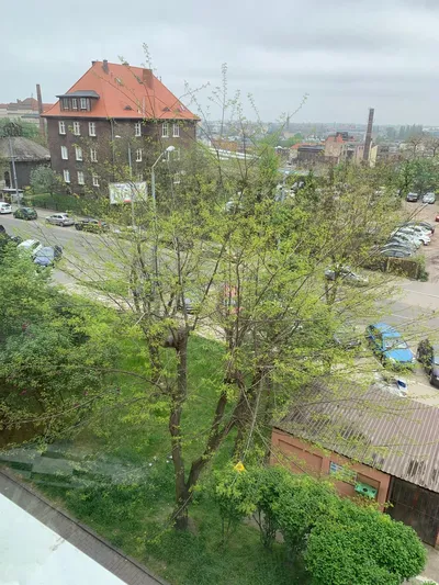 Prywatnie pokój do wynajęcia dla kobiety - miniatura 4
