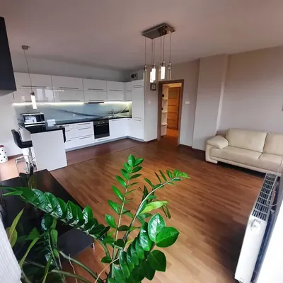 Wynajme mieszkanie 3 pokojowe 60m2 + miejsce postojoweKrakow ul.Bojki Kurdwanów