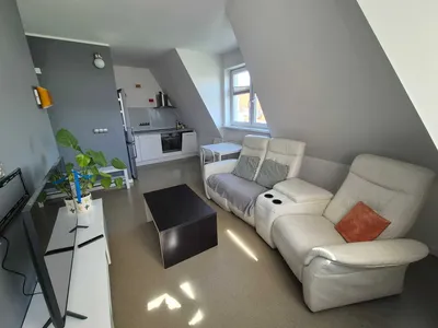 Wilda/Robocza - 2 pokoje wolne od zaraz - miniatura 4