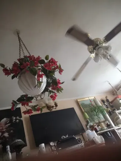 Mam do wynajęcia na dluzejj ,przytulny,umeblowany pokoj na Pradze-poludnie(Grochowie) od zaraz. - miniatura 3