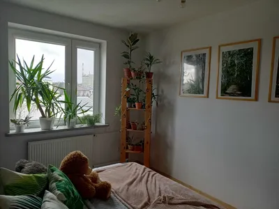 Mieszkanie do wynajęcia - Cyrulików, Warszawa Rembertów - miniatura 3