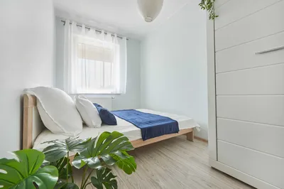 Salon z kuchnią + oddzielna sypialnia – ul. Architektów 18 - miniatura 3