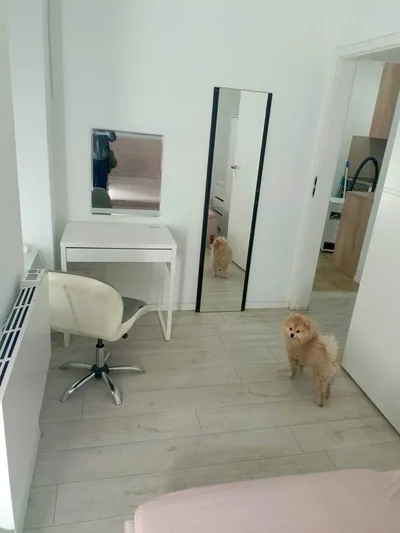Dwupokojowe mieszkanie na wynajem, 42m2,Wilda, Poznan - miniatura 4