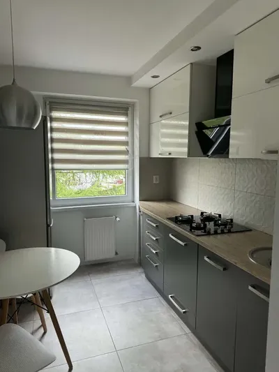 Mieszkanie na wynajem, 3 pokoje, 5 minut do centrum - miniatura 3