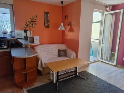 Duże mieszkanie dwupokojowe, zwierzęta, balkon, bezpośrednio, dla pary - miniatura 3