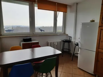 2 pokoje od maja - miniatura 2