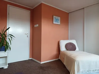Large, well-maintained room for a responsible and tidy person - miniatura 5