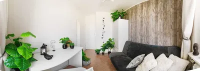 ZWIERZOLUBNY pokój w ślicznym mieszkaniu, WINOGRADY, WiFi gratis! - miniatura 4