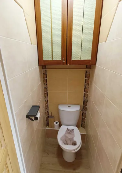 Wynajmę mieszkanie Gdańsk Zaspa - miniatura 5