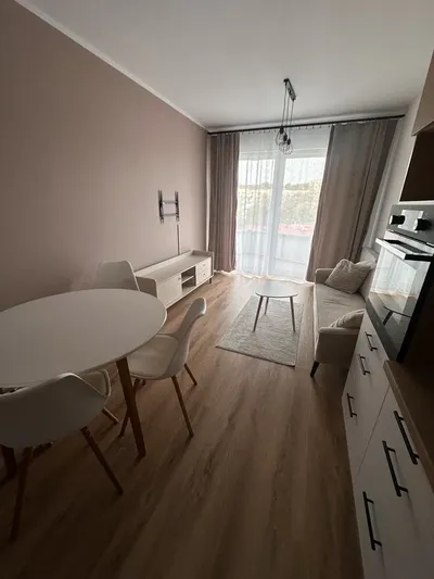 Nowe mieszkanie do wynajęcia - miniatura 3