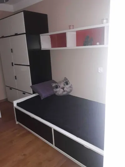 Mieszkanie 3 pokojowe / Śródmieście blisko Politechniki - miniatura 3