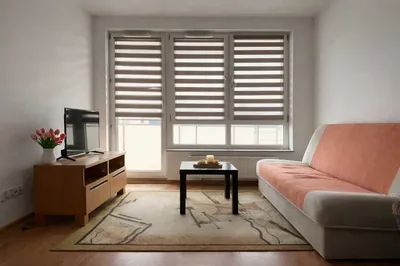 APARTAMENTY ZAMKOWE - Komfortowe mieszkanie - GARAŻ - 2 pokoje - Kopisto - miniatura 3
