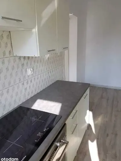 Do wynajęcia mieszkanie/biuro lokal 72,9 m2 - miniatura 4