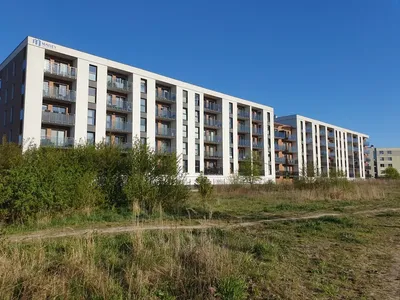 NOWA KAWALERKA – Widzew Olechów – BEZ PROWIZJI - miniatura 2