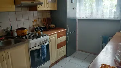 Pokój dla dziewczyny, bez kaucji, akceptowany kotek - miniatura 4