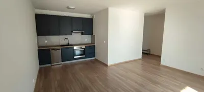 Mieszkanie do wynajęcia 2-pokojowe 45m2 - miniatura 3