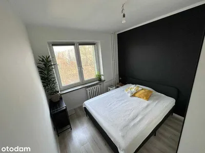 2-pokojowe mieszkanie 43m² | Balkon | Ciche osiedle | Krowodrza | Przyjazne zwierzętom