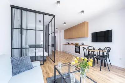 Do wynajęcia kawalerka z wydzieloną sypialnią w apartamentowcu przy ul. Matejki 11.