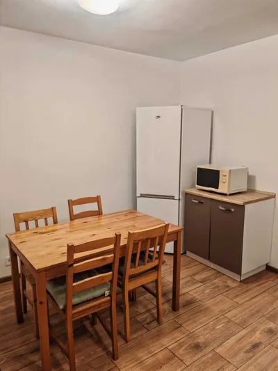 Do wynajęcia 3 pokojowe mieszkanie (48 m2), Winogrady, Poznań - miniatura 2