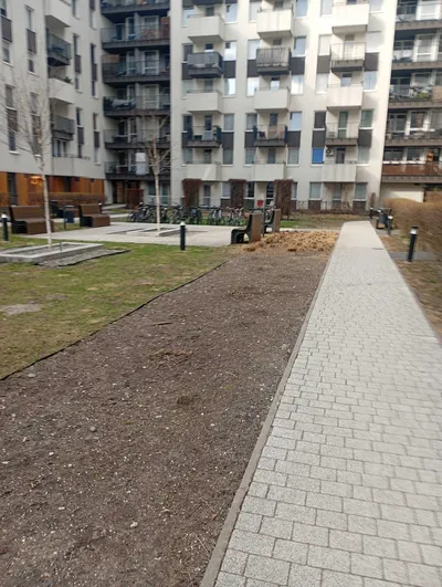 Do wynajęcia mieszkanie Kraków Avia