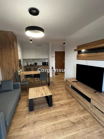 Katowice Brynów Mieszkanie do wynajęciaprzez agenta - miniatura 2