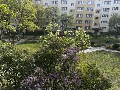 Łódź RetkiniaSprinterów 9 Mieszkanie do wynajęcia bez pośredników - miniatura 4