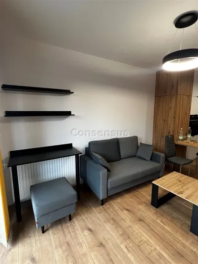 Katowice Brynów Mieszkanie do wynajęciaprzez agenta - miniatura 5